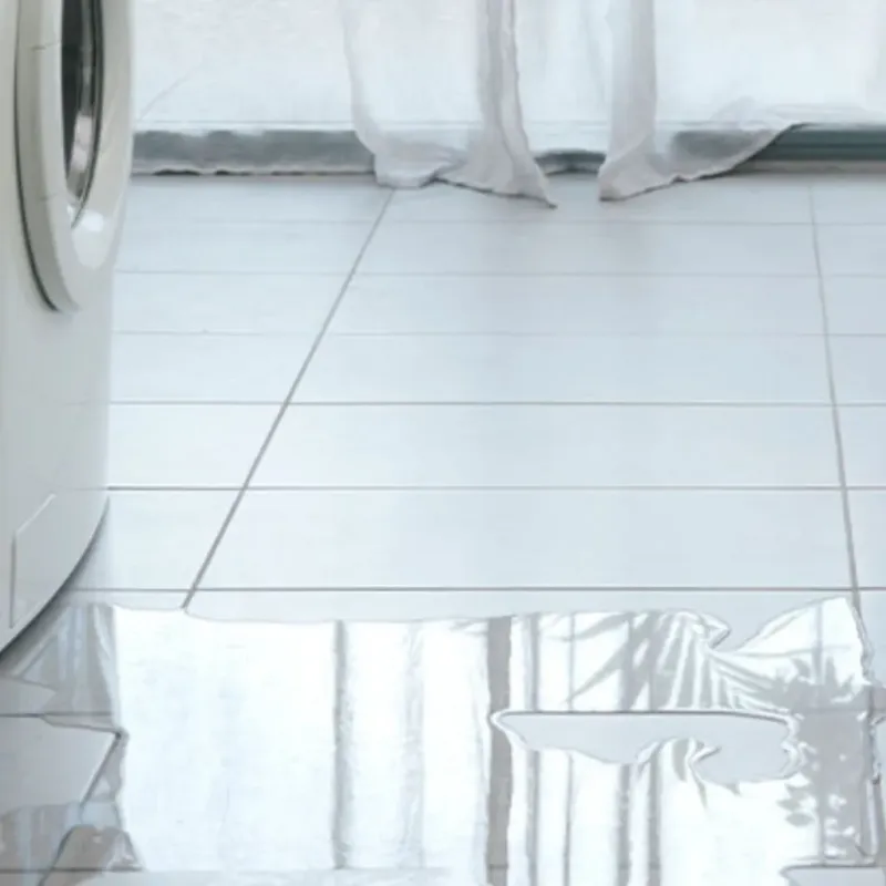 Appliance Leak Cleanup in Leisure City, FL