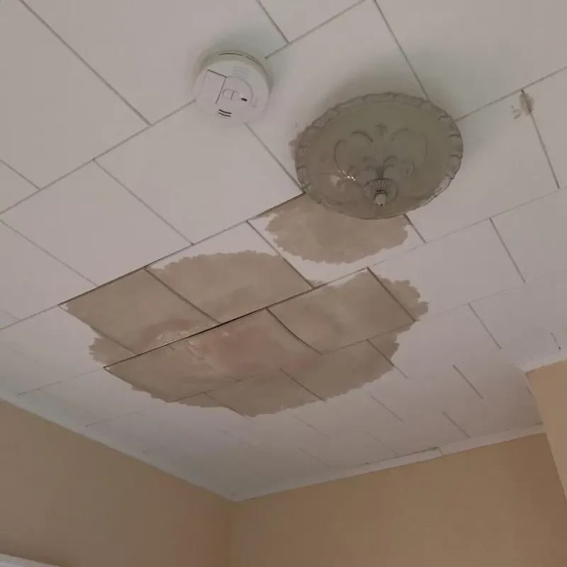 Ceiling Water Damage Repair in Leisure City, FL